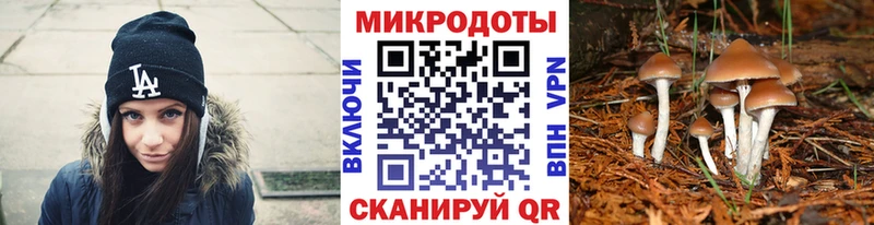 Псилоцибиновые грибы Magic Shrooms  купить закладку  Гагарин 