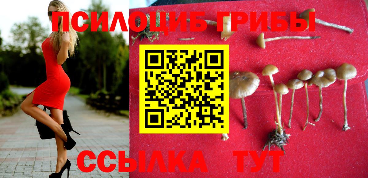 Псилоцибиновые грибы прущие грибы  Гагарин 