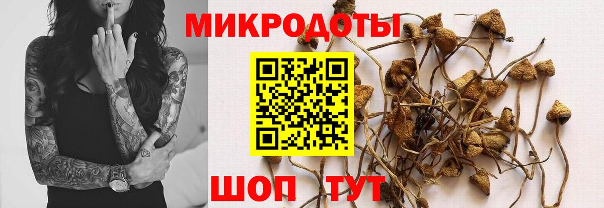 Псилоцибиновые грибы мухоморы  Вход с VPN  Гагарин 